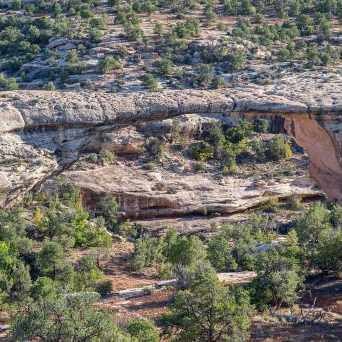 Near Owachomo Bridge Out and Back