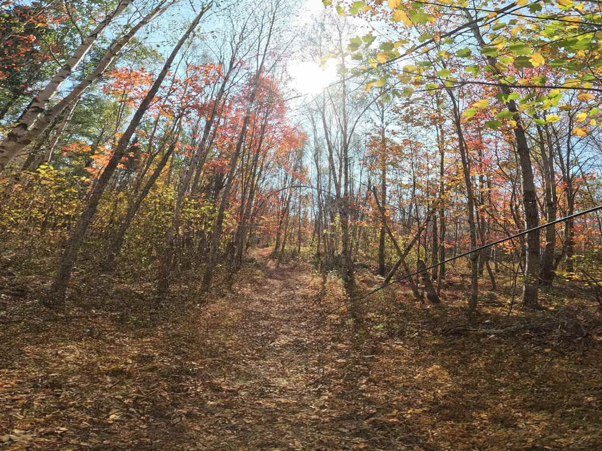 Old Hatchery Winter Trail End trail photo