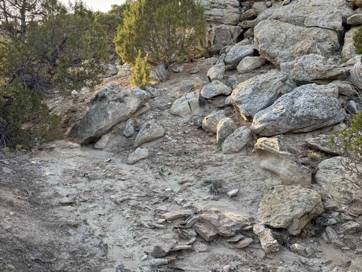 One Mile Trail photo 2