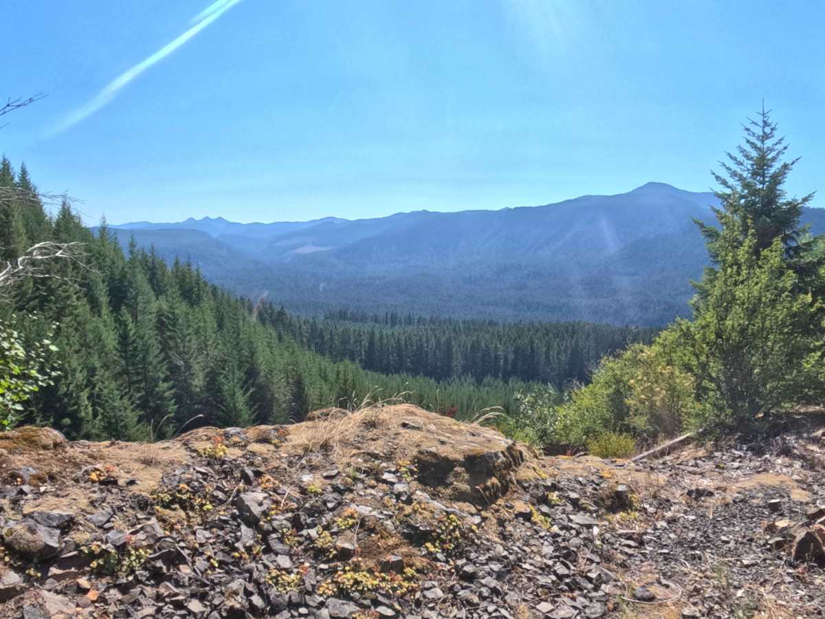 FS 2253136 trail photo