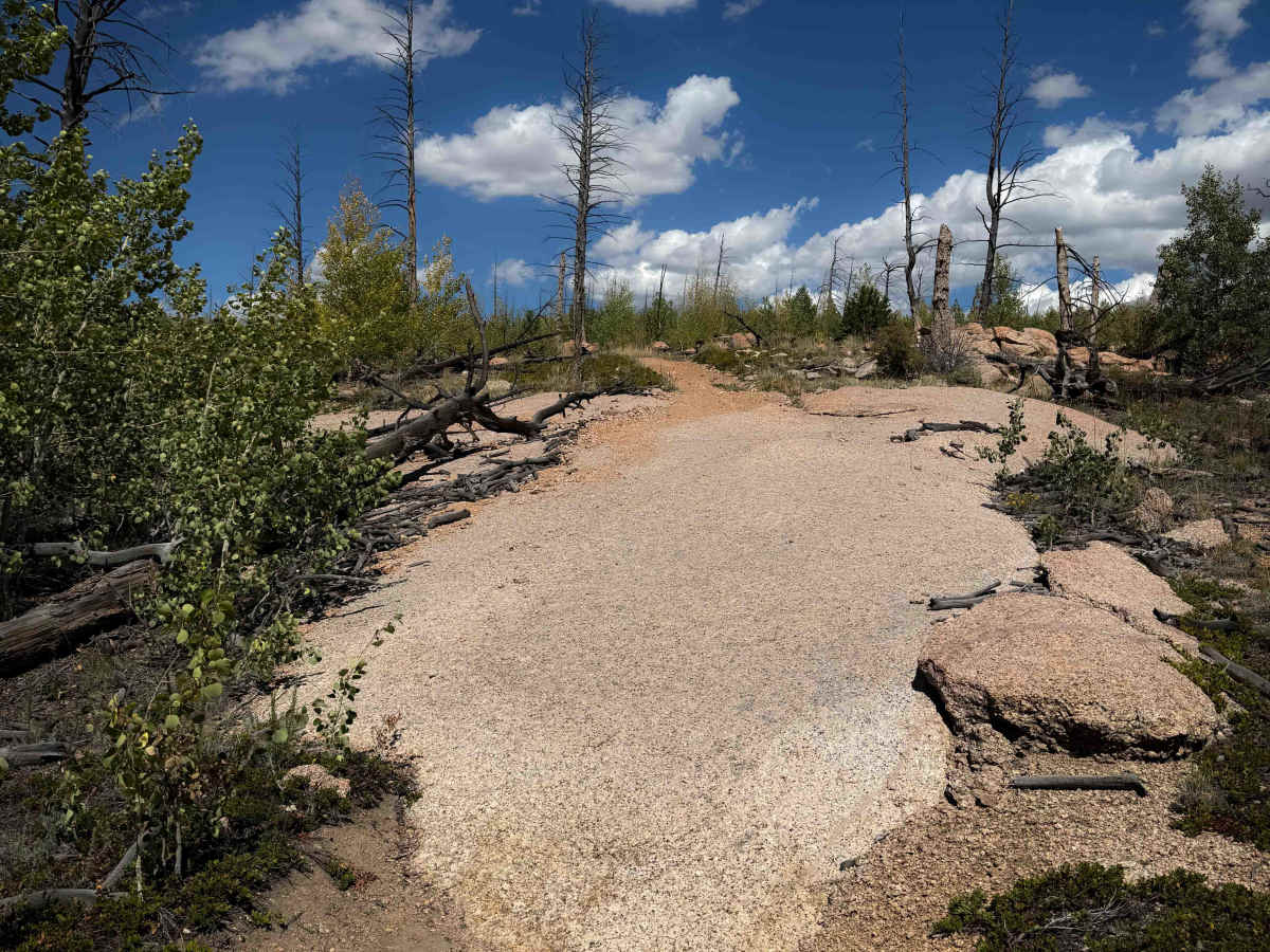 Trail 737  photo 3