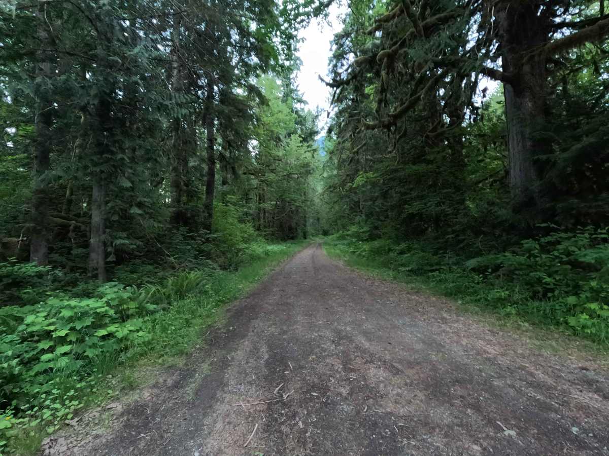 North Side Sauk River - FS 22 photo 2