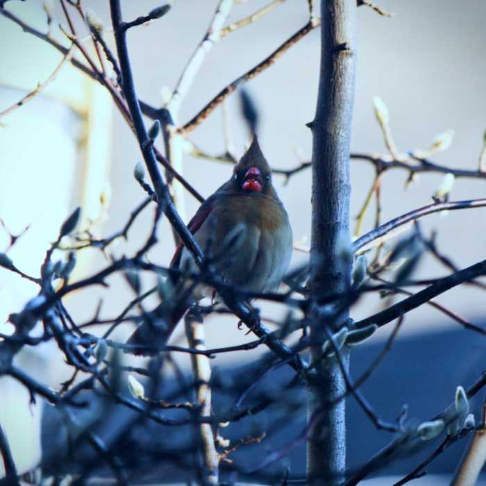 Near Seneca Trails Route