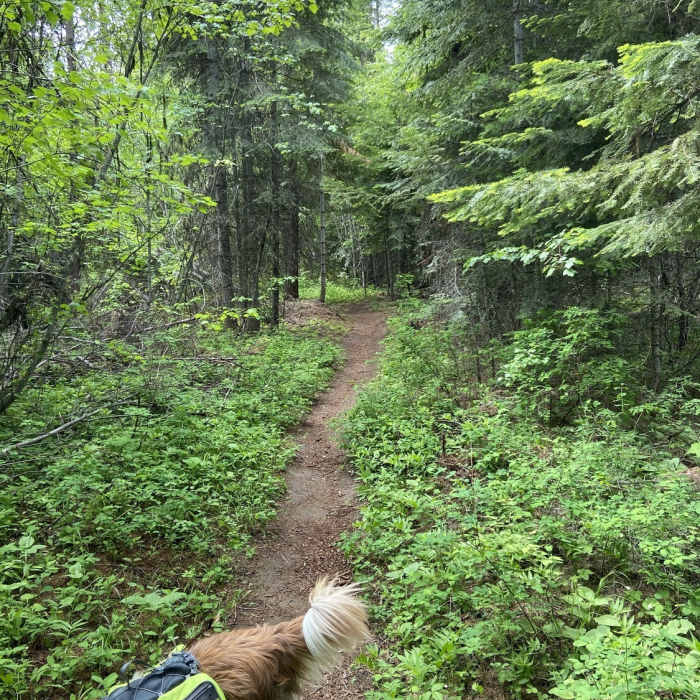 Near Butte Climb