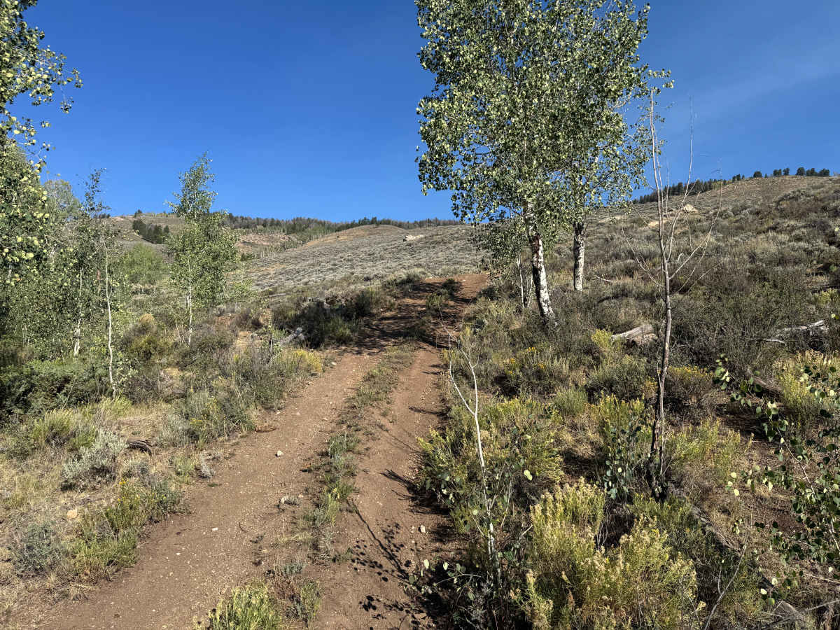 Flick Gulch Road photo 2
