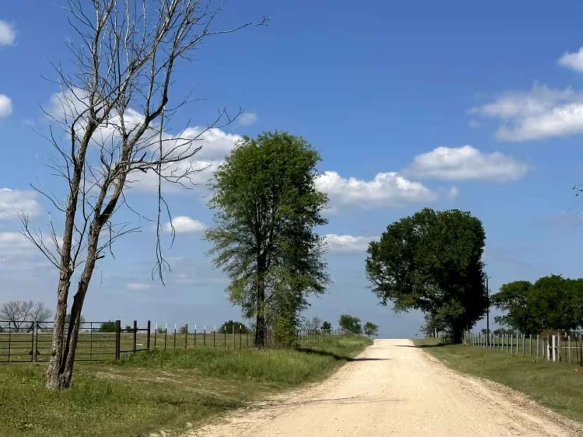 Louisville Road photo 6