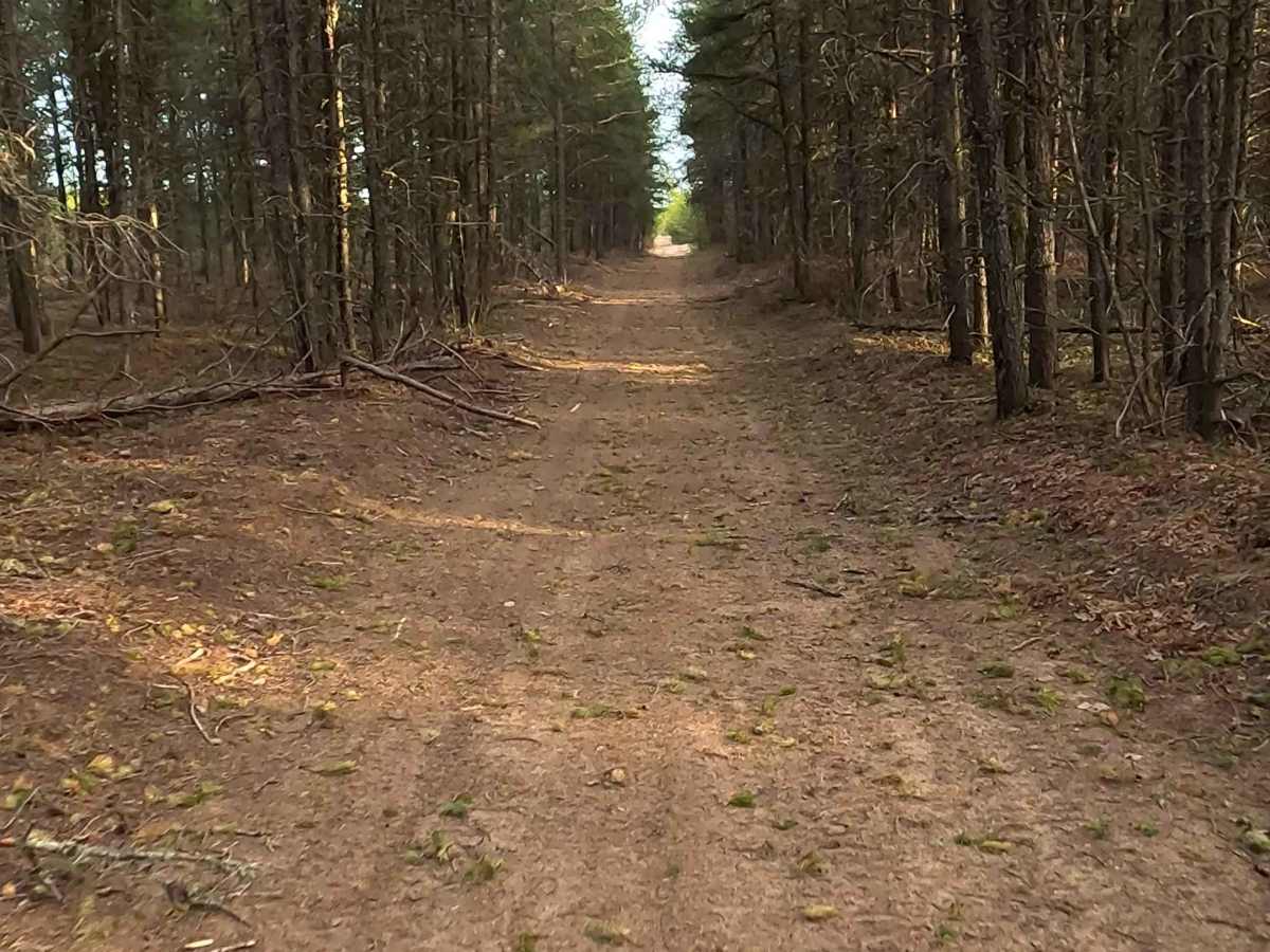 N Sheldrake River Road photo 3