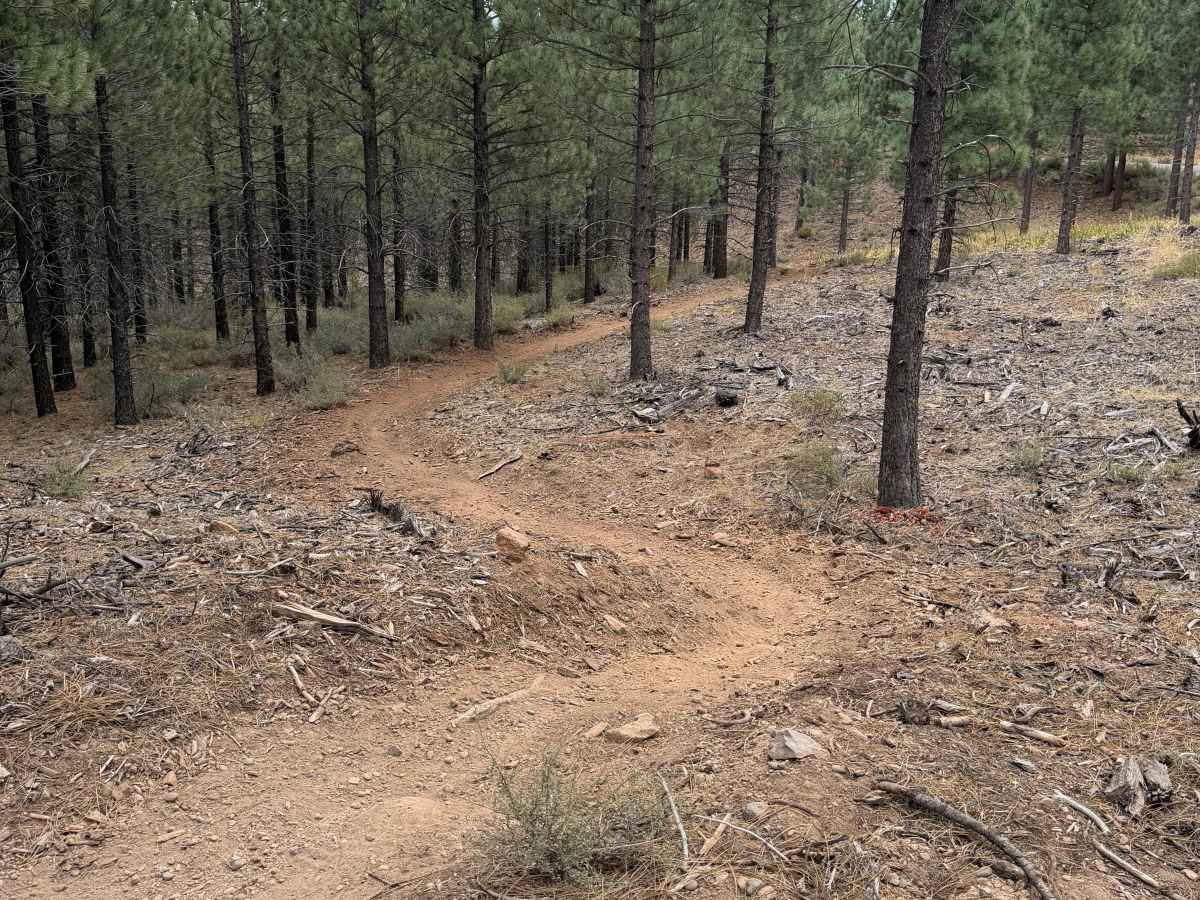 #9 trail photo