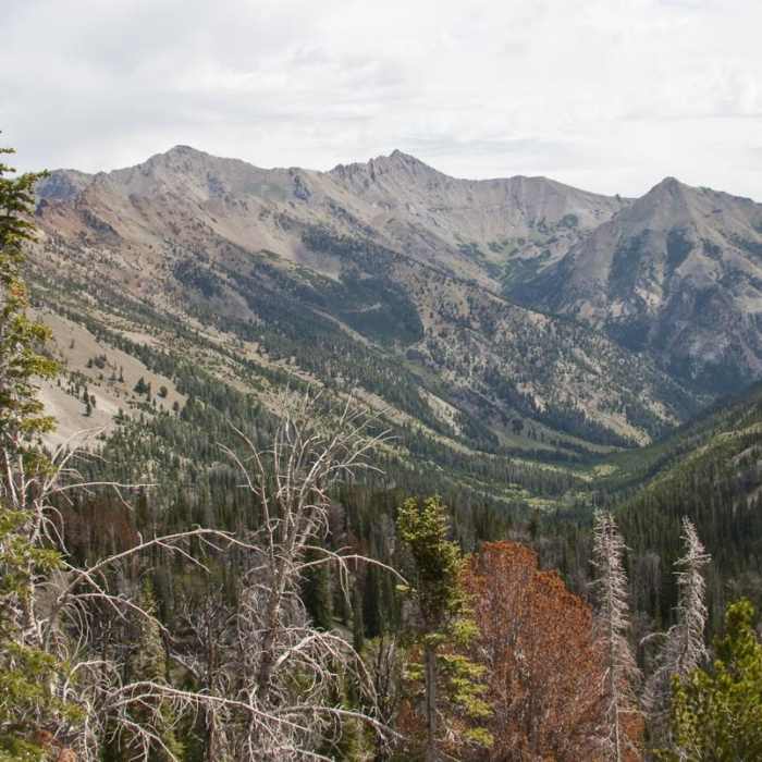 Near North Fork of the Big Wood
