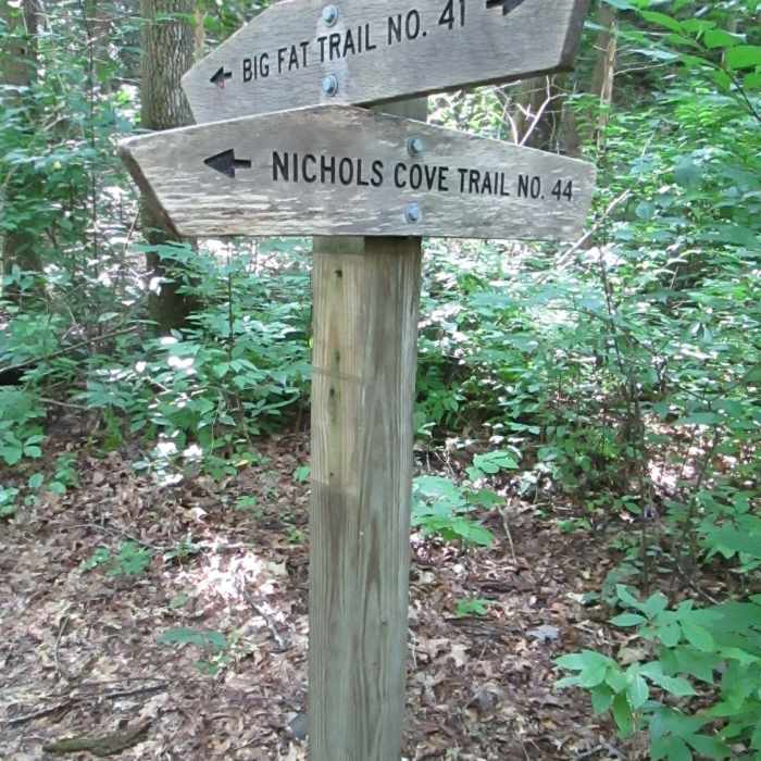 Near Nichols Cove Trail #44