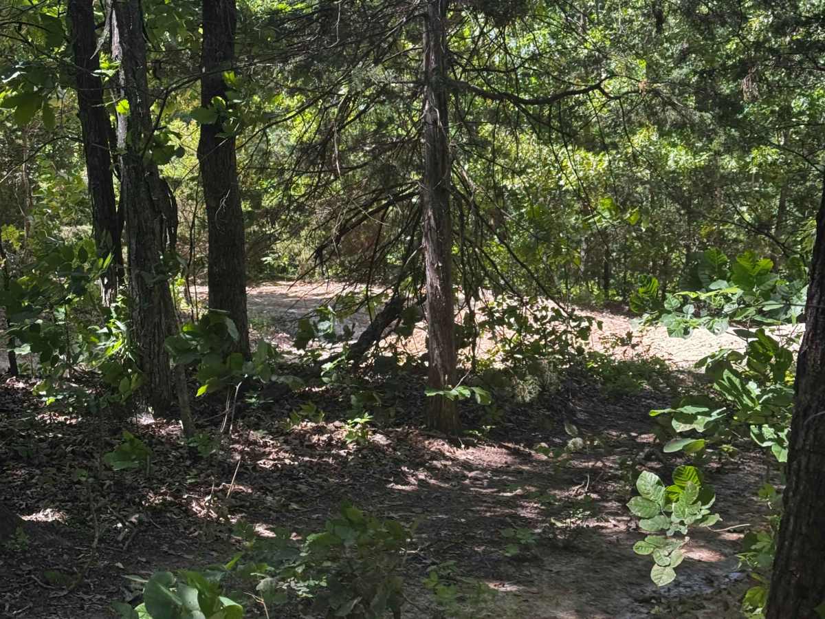 SXS Cut trail photo
