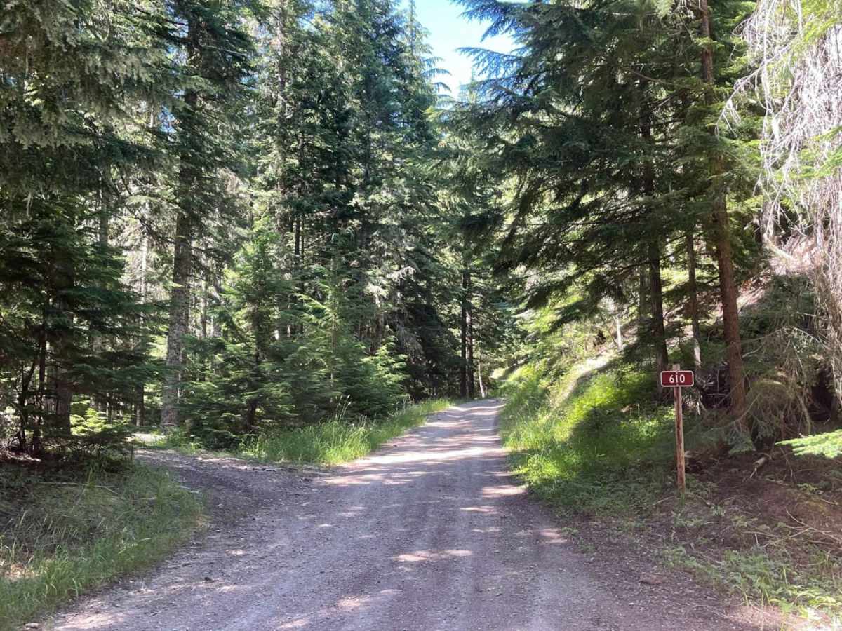 Gurley Saddle photo 6
