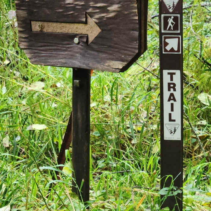 Near Green Peak Falls Trail