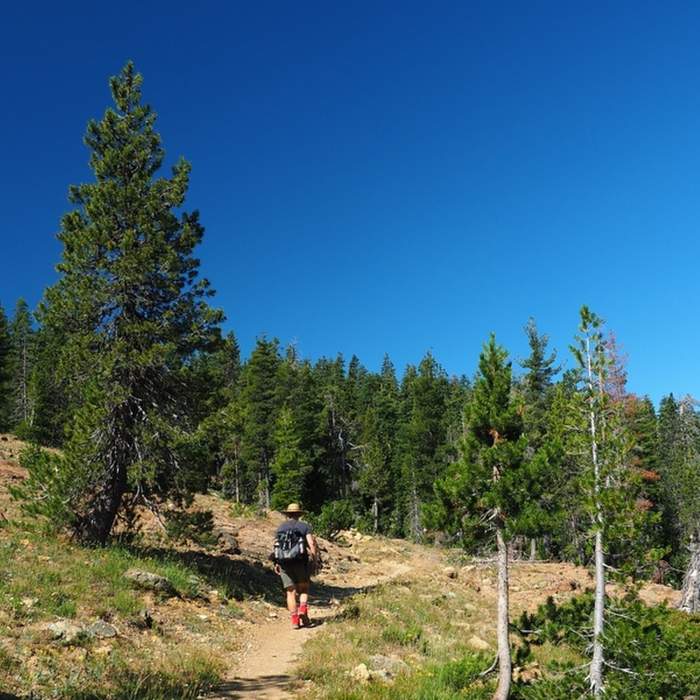 Near Fen Trail #5567