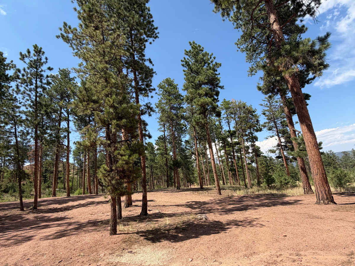 Lower Johns Gulch Road photo 2