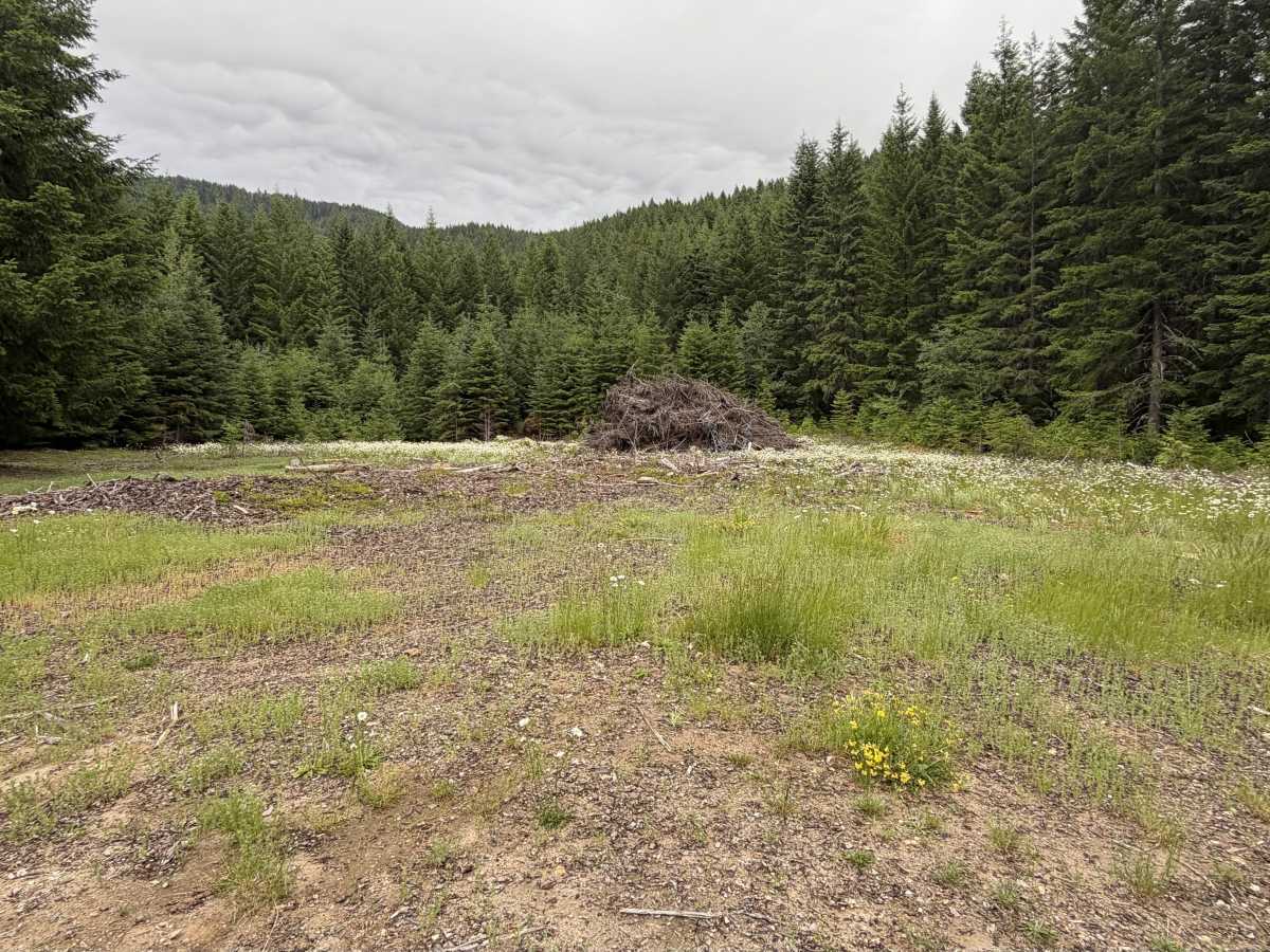 FS 2300246 photo 2