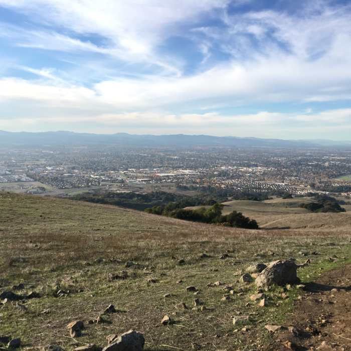 Near Taylor Mountain