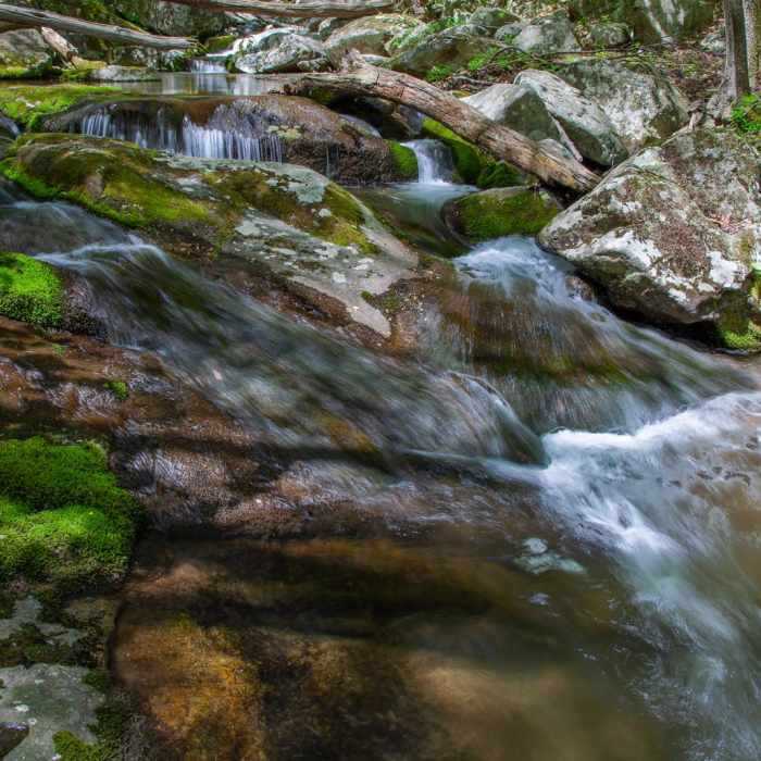 Near Rose River + Dark Hollow Falls via Big Meadows Near Rose River + Dark Hollow Falls via Big Meadows