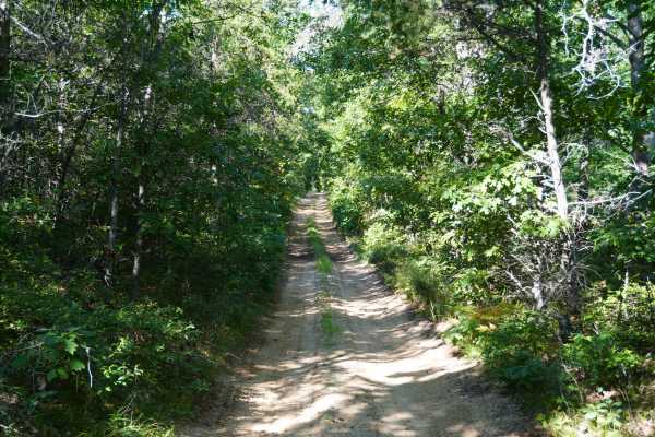 Twin Lakes Trail