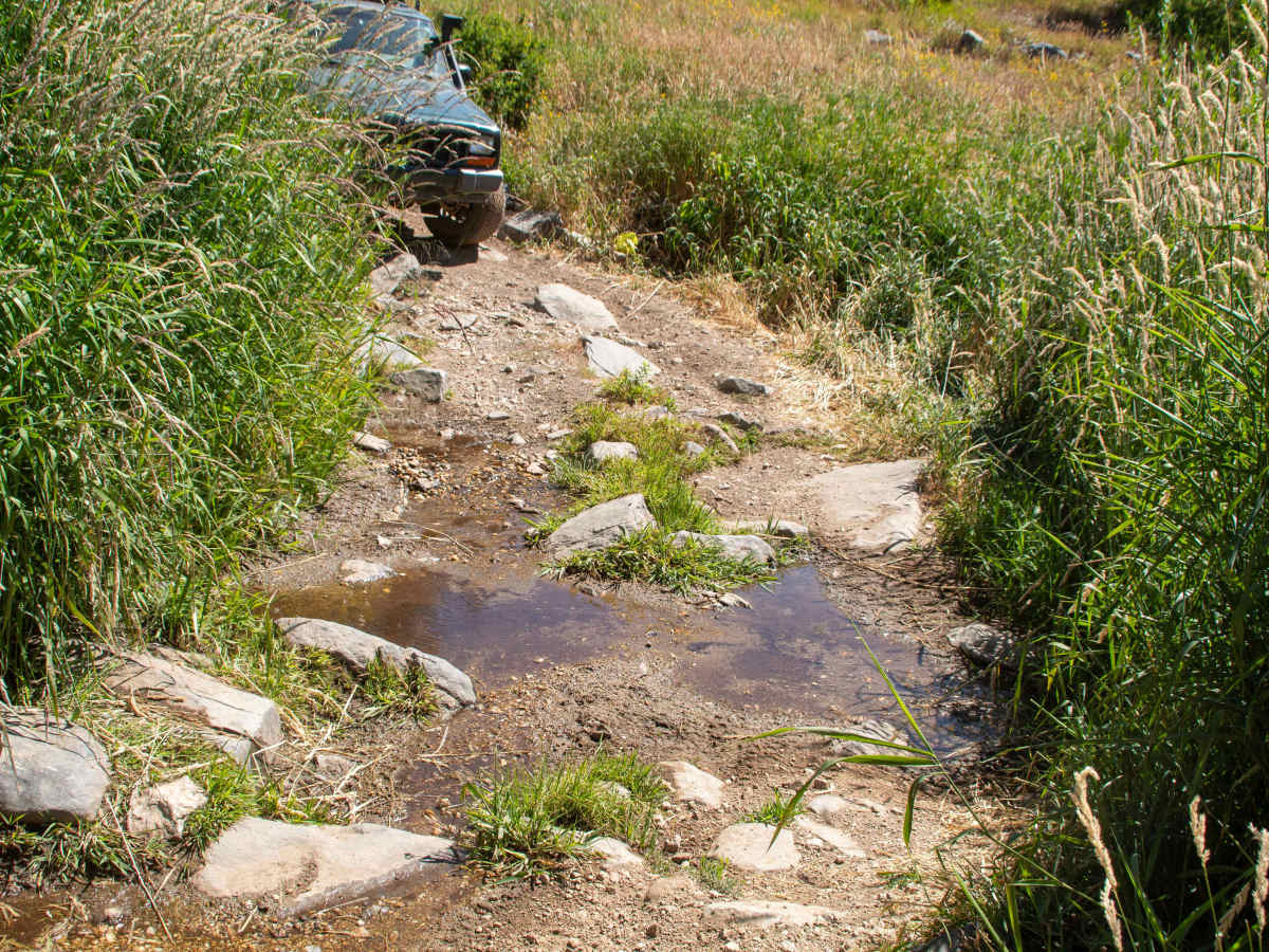 Lower Parish Creek photo 3