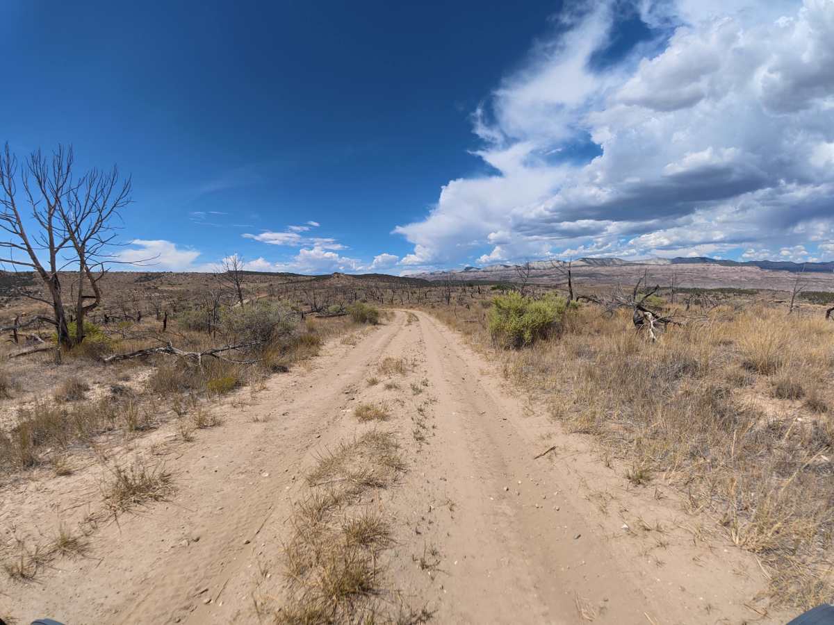 BLM 289 trail photo