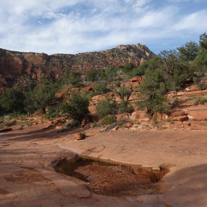 Water pocket on the Courthouse Butte loop hike Near Big Park Loop