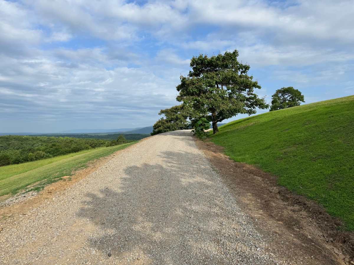 County Road 4491 photo 5