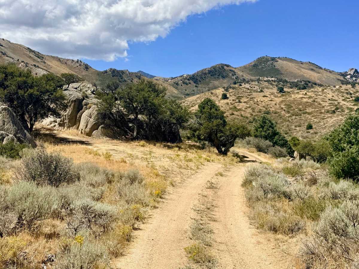  Lime Kiln Canyon - FS 57094 photo 4