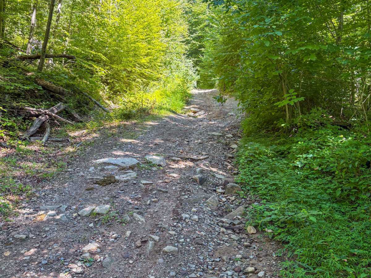 Shenipsit Trail System photo 2