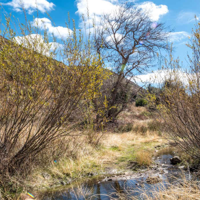 Near Cottonwood Creek Falls