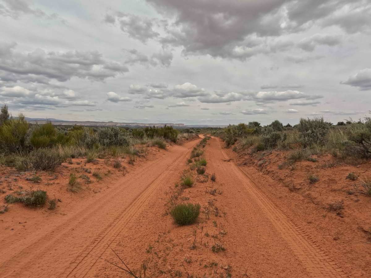 BLM 63 photo 5