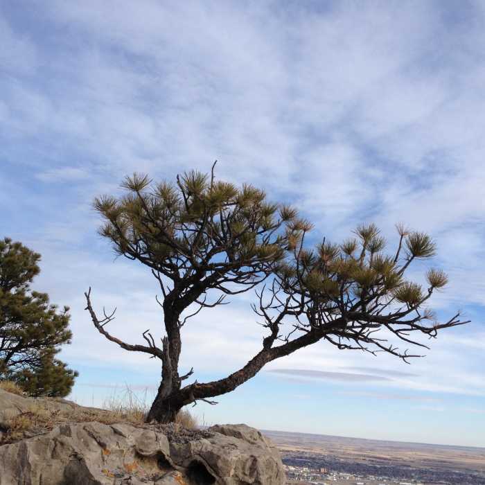 Monument top Near Saddle Rock Trail