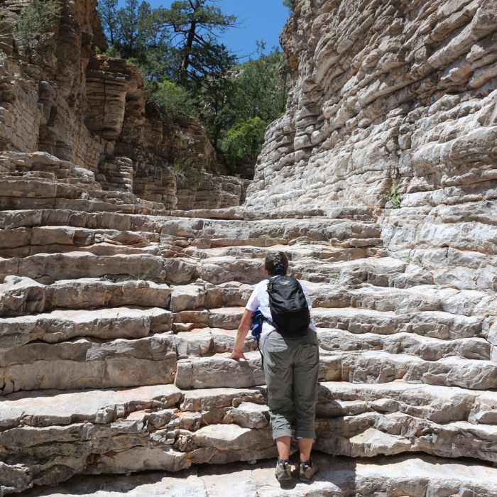 Near Devil's Hall Trail