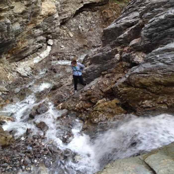 Near Fox Creek Near Fox Creek