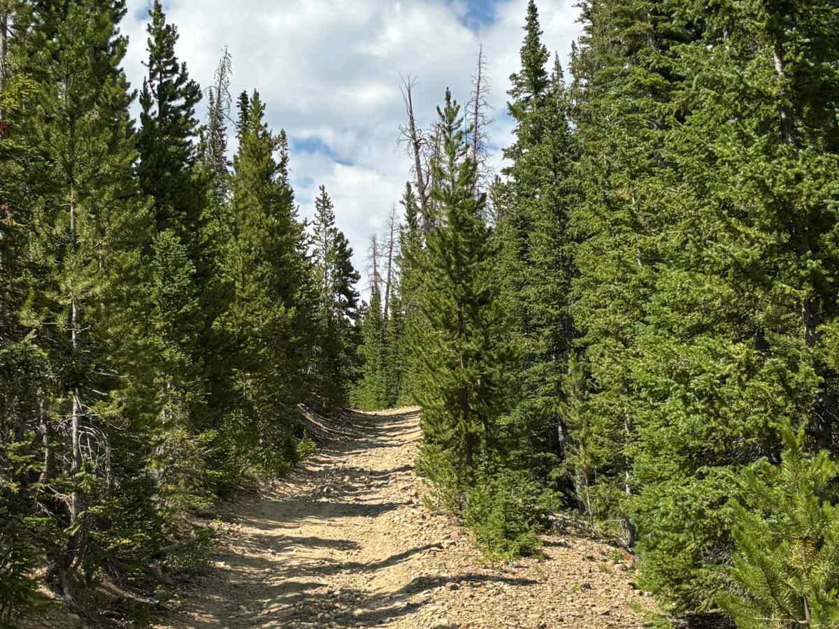 FS - 730 trail photo