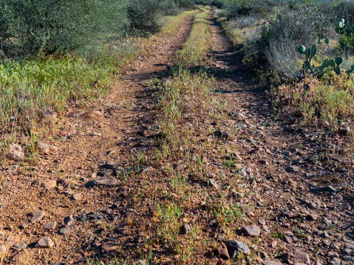 Armer Gulch - FS 663 photo 2