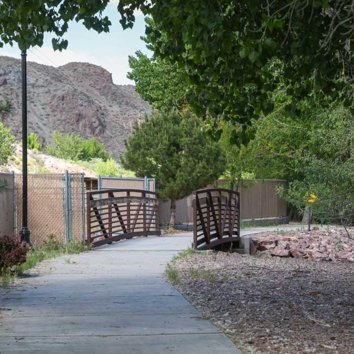 Near Meadow Valley Wash Trail Near Meadow Valley Wash Trail
