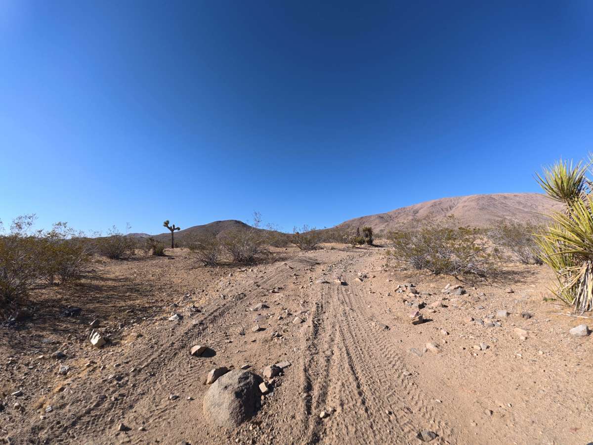 BLM SV2635 trail photo