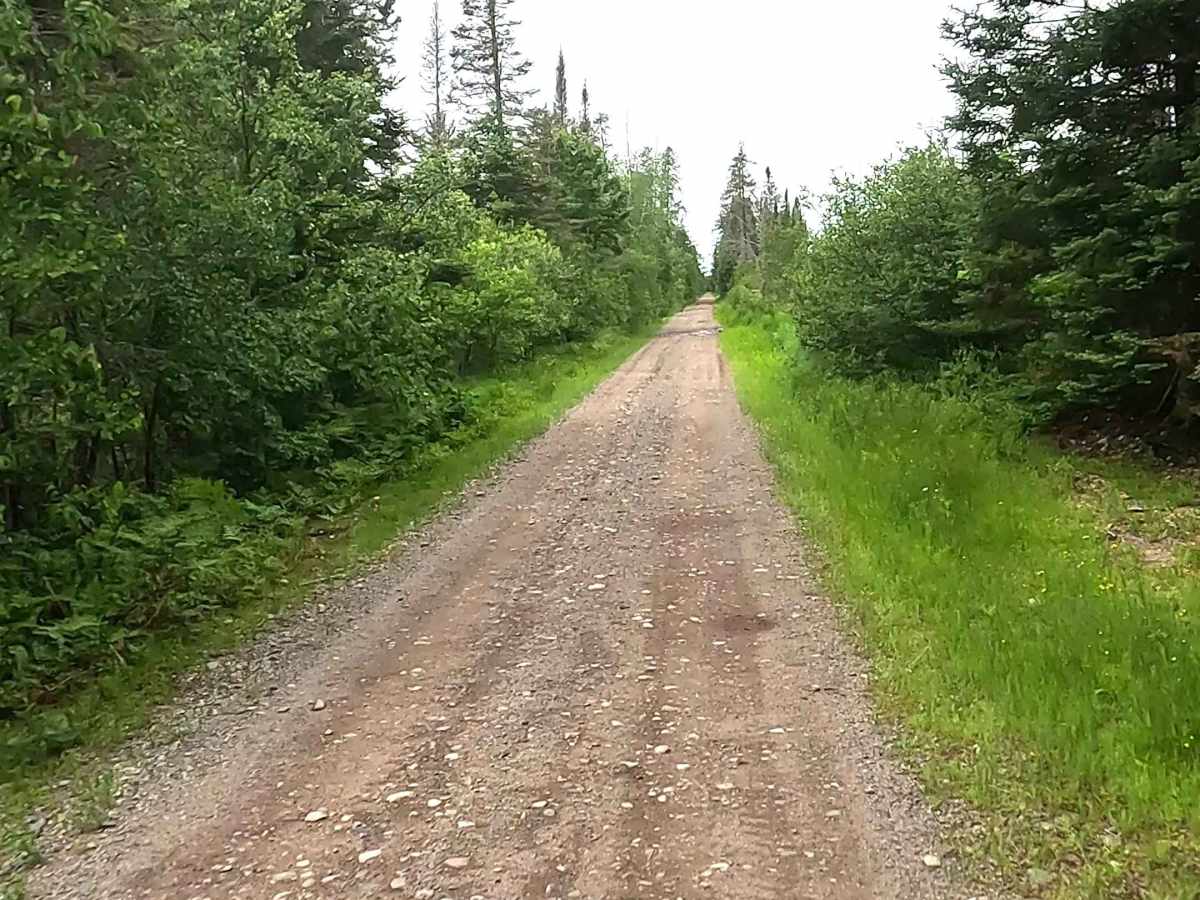 Off-Road Vehicle Route CL - Clowry Grade trail photo