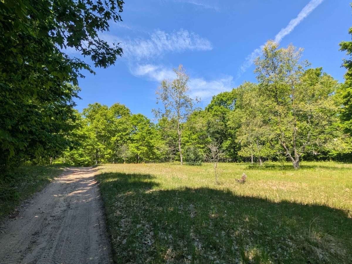  North Missaukee Route (section 7) photo 6