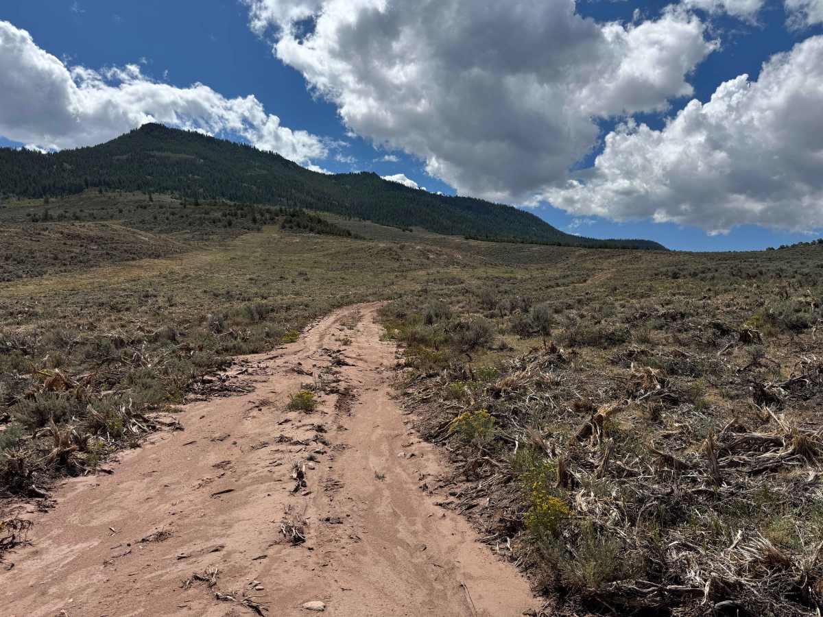 BLM 8634 photo 3