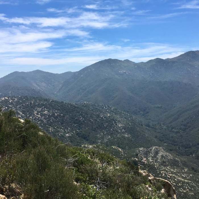 Near Pacific Crest Trail: California Section B