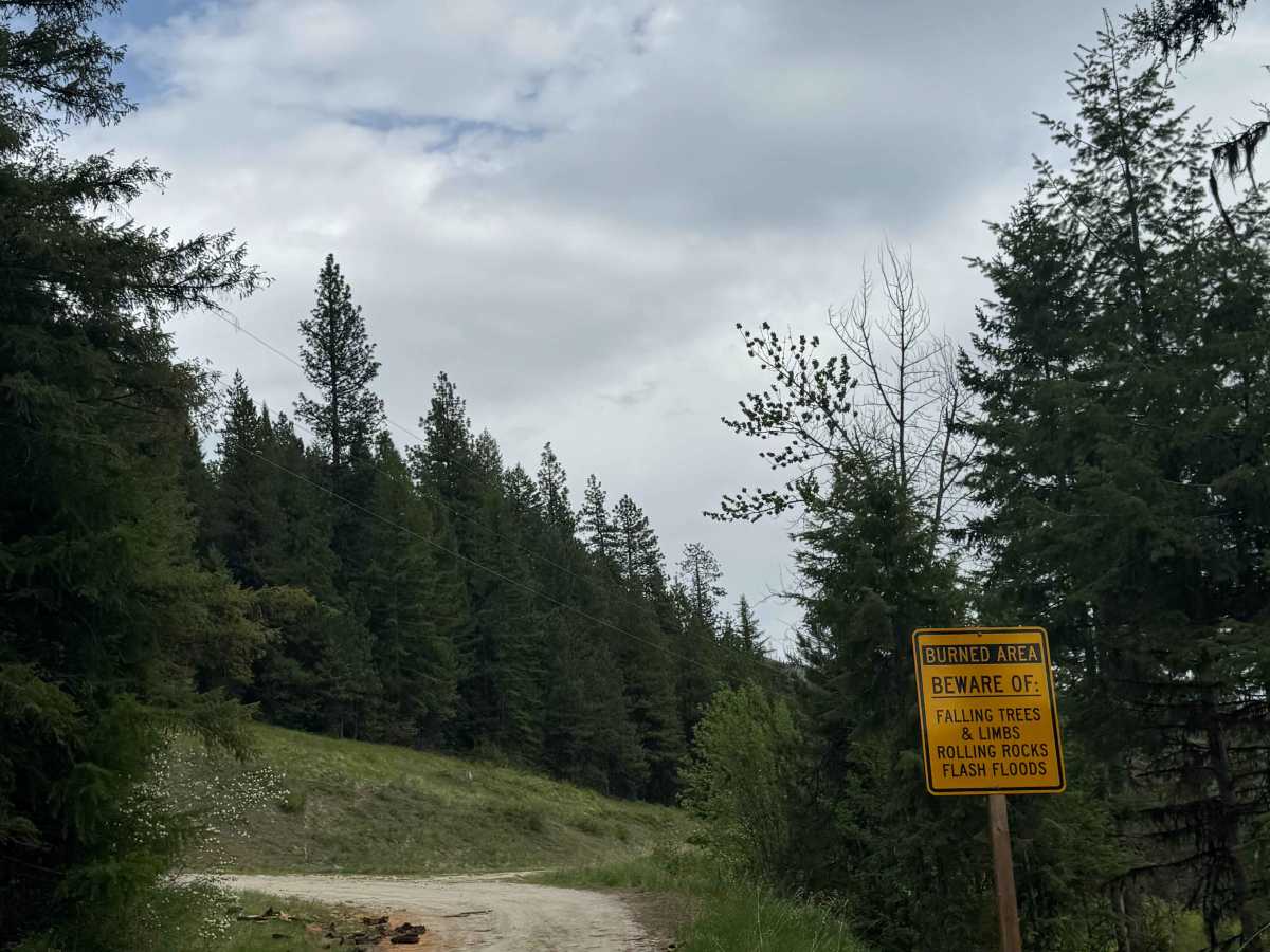 Graves Mountain Road photo 3