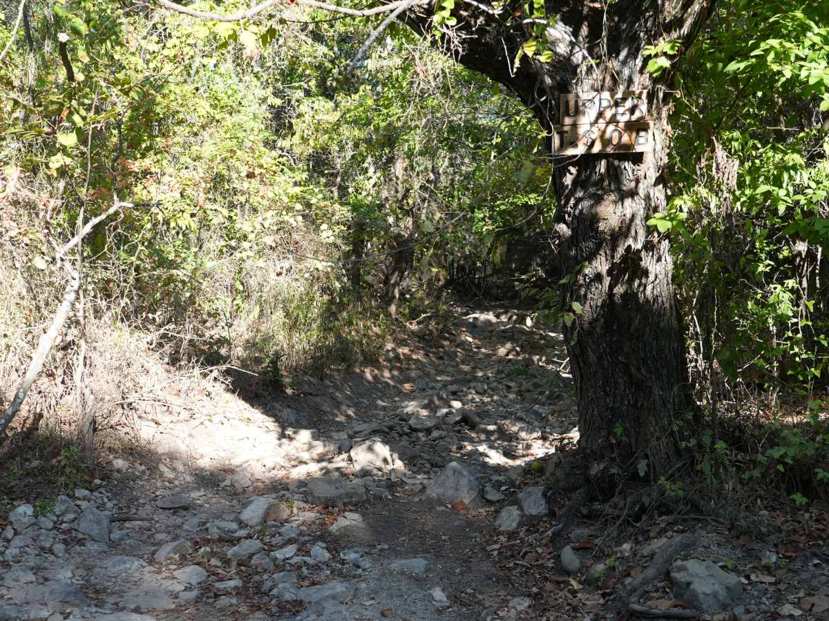 Upper T.S.O.B. photo 2