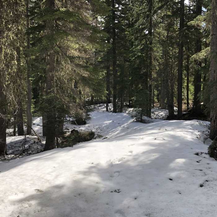 Near Blue Lake Basin Loop