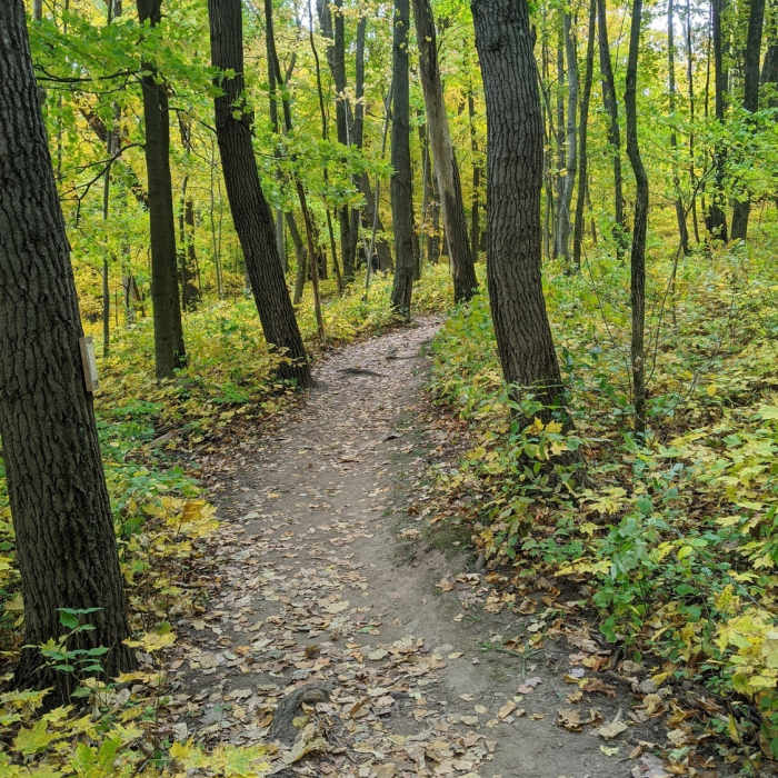 Southeast Wisconsin nearing its fall peak. Near Ice Age Trail: Holy Hill Segment