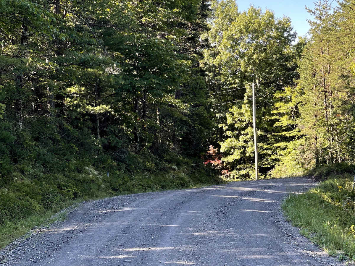 Sampson Road trail photo