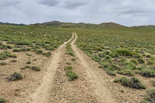 Cedar Corral - FS 44491
