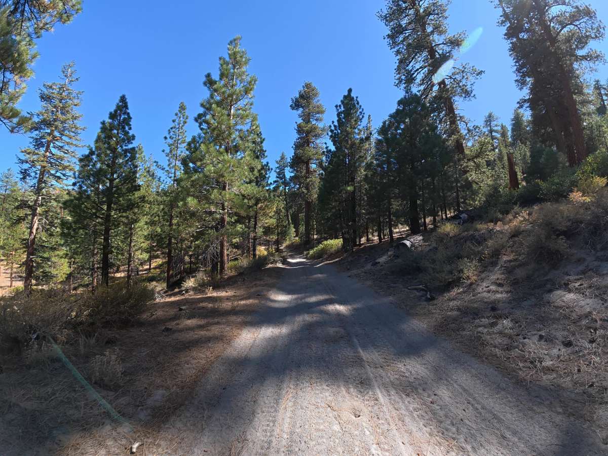 Lookout Loop photo 2