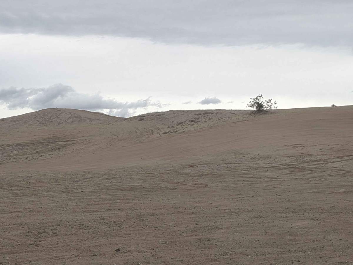 Count Line Road photo 6